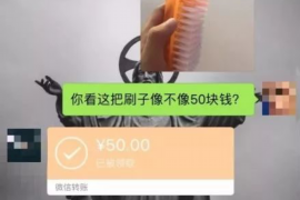 陵水陵水的要账公司在催收过程中的策略和技巧有哪些？